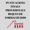 PUNTUACIONES FINALES PROVISIONALES DE LAS BECAS DE FORMACIÓN 2019